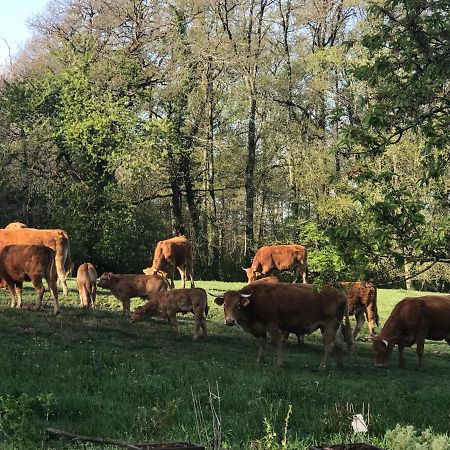 Les Ombrieres Bed & Breakfast Porcheresse Exterior foto